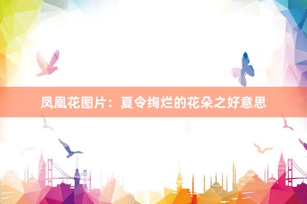 凤凰花图片：夏令绚烂的花朵之好意思