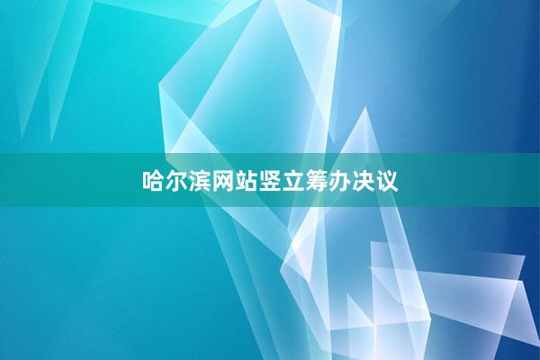 哈尔滨网站竖立筹办决议