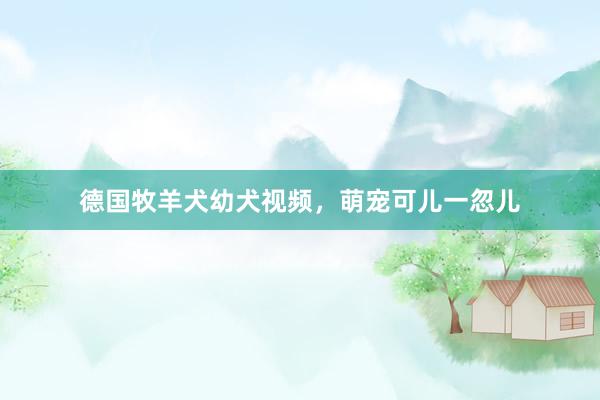 德国牧羊犬幼犬视频，萌宠可儿一忽儿