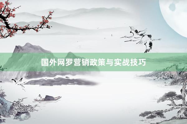 国外网罗营销政策与实战技巧